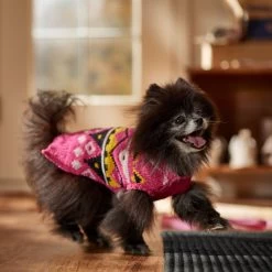 Frisco Bold Nordic V-Neck Dog & Cat Sweater -Cat Products Store 718710 PT7. AC SS1800 V1692377763