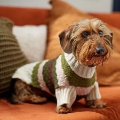 Frisco Bubble Knit Multi Striped Mock Neck Dog & Cat Sweater 16 Frisco Bubble Knit Multi Striped Mock Neck Dog & Cat Sweater -Cat Products Store 718854 PT7. AC SS1800 V1692378688