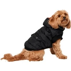 Frisco Heavy Weight Matte Quilted Volume Dog & Cat Puffer -Cat Products Store 719750 PT2. AC SS1800 V1703184628