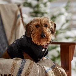 Frisco Heavy Weight Matte Quilted Volume Dog & Cat Puffer -Cat Products Store 719750 PT7. AC SS1800 V1692377763