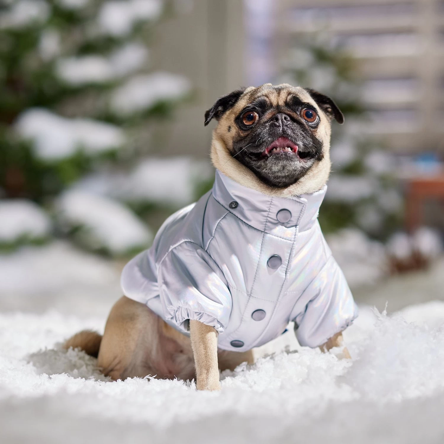 Frisco Heavy Weight Iridescent Quilted Dog & Cat Hooded Puffer Coat 10 Frisco Heavy Weight Iridescent Quilted Dog & Cat Hooded Puffer Coat - Image 8