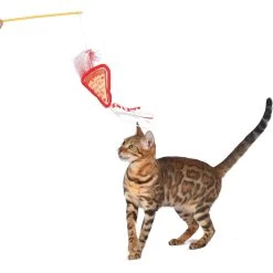 Fetch For Pets Friends Joey Loves Food Wand Cat Toy With Catnip -Cat Products Store 729214 PT3. AC SS1800 V1682628557