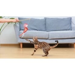 Fetch For Pets Friends Joey Loves Food Wand Cat Toy With Catnip -Cat Products Store 729214 PT4. AC SS1800 V1682628495