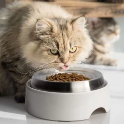 CatGuru Round Stainless Steel Cat & Dog Food Dish, 2 Count 13 CatGuru Round Stainless Steel Cat & Dog Food Dish, 2 Count -Cat Products Store 730894 PT5. AC SS1800 V1673016173