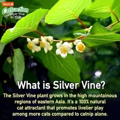 Hartz Cattraction Crinkle Mice Cat Toy, Multi Color, 10 Count -Cat Products Store 731710 PT5. AC SS1800 V1670515476