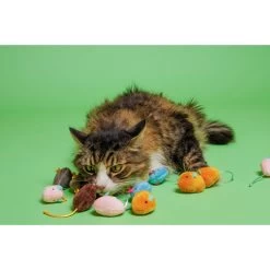 Hartz Cattraction Crinkle Mice Cat Toy, Multi Color, 10 Count -Cat Products Store 731710 PT6. AC SS1800 V1670513851