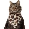 Frisco Leopard Faux Fur Dog & Cat Bandana -Cat Products Store 733894 MAIN. AC SS1800 V1692379950