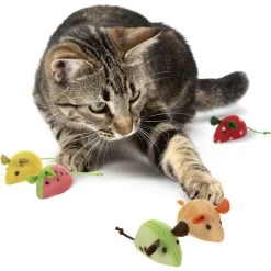 SmartyKat Skitter Slices Plush Cat Toy With Catnip, 5 Count 13 SmartyKat Skitter Slices Plush Cat Toy With Catnip, 5 Count -Cat Products Store 736894 PT3. AC SS1800 V1672842488