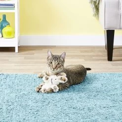 KONG Softies Fuzzy Bunny Cat Toy, Color Varies 8 KONG Softies Fuzzy Bunny Cat Toy, Color Varies -Cat Products Store 73763 PT1. AC SS1800 V1545172968