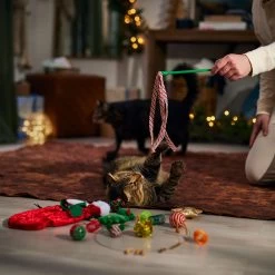 Frisco Holiday Cozy Christmas Sack Variety Pack Cat Toy With Catnip -Cat Products Store 740054 PT3. AC SS1800 V1694812461