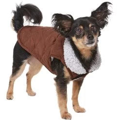 Frisco Medium Weight Quilted Dog & Cat Coat With Cozy Sherpa Lining -Cat Products Store 744310 PT2. AC SS1800 V1703194386