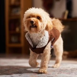 Frisco Medium Weight Quilted Dog & Cat Coat With Cozy Sherpa Lining -Cat Products Store 744310 PT7. AC SS1800 V1692375981