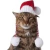 Frisco Chunky Knit Santa Dog & Cat Hat -Cat Products Store 744878 MAIN. AC SS1800 V1694812847