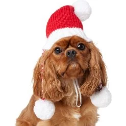 Frisco Chunky Knit Santa Dog & Cat Hat -Cat Products Store 744878 PT2. AC SS1800 V1694812755