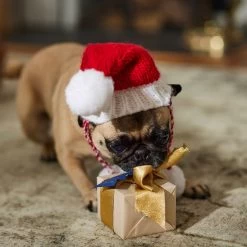 Frisco Chunky Knit Santa Dog & Cat Hat -Cat Products Store 744878 PT5. AC SS1800 V1694793814