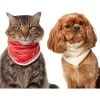 Frisco Reversible Candy Cane Cozy Knit Faux Fur Dog & Cat Pullover Bandana, 1 Count