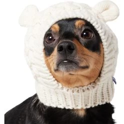 Frisco Polar Bear Sweater Knit Dog & Cat Hat -Cat Products Store 745742 PT2. AC SS1800 V1694793756