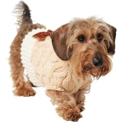 Frisco Cable Knit Dog & Cat Sweater Dress With Velvet Bow -Cat Products Store 745838 PT2. AC SS1800 V1694793815