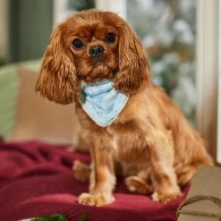 Frisco Reversible Snowflake Cozy Knit Faux Fur Dog & Cat Pullover Bandana, 1 Count -Cat Products Store 746630 PT6. AC SS1800 V1694799358