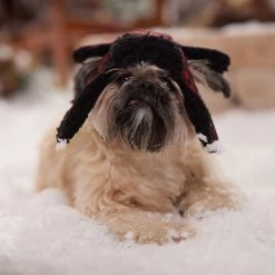 Frisco Tartan Plaid Dog & Cat Trapper Hat -Cat Products Store 746750 PT5. AC SS1800 V1694800749