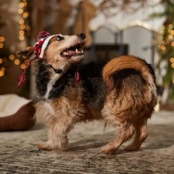 Frisco Nordic Pawprint Dog & Cat Hat 14 Frisco Nordic Pawprint Dog & Cat Hat -Cat Products Store 746782 PT5. AC SS1800 V1694799891