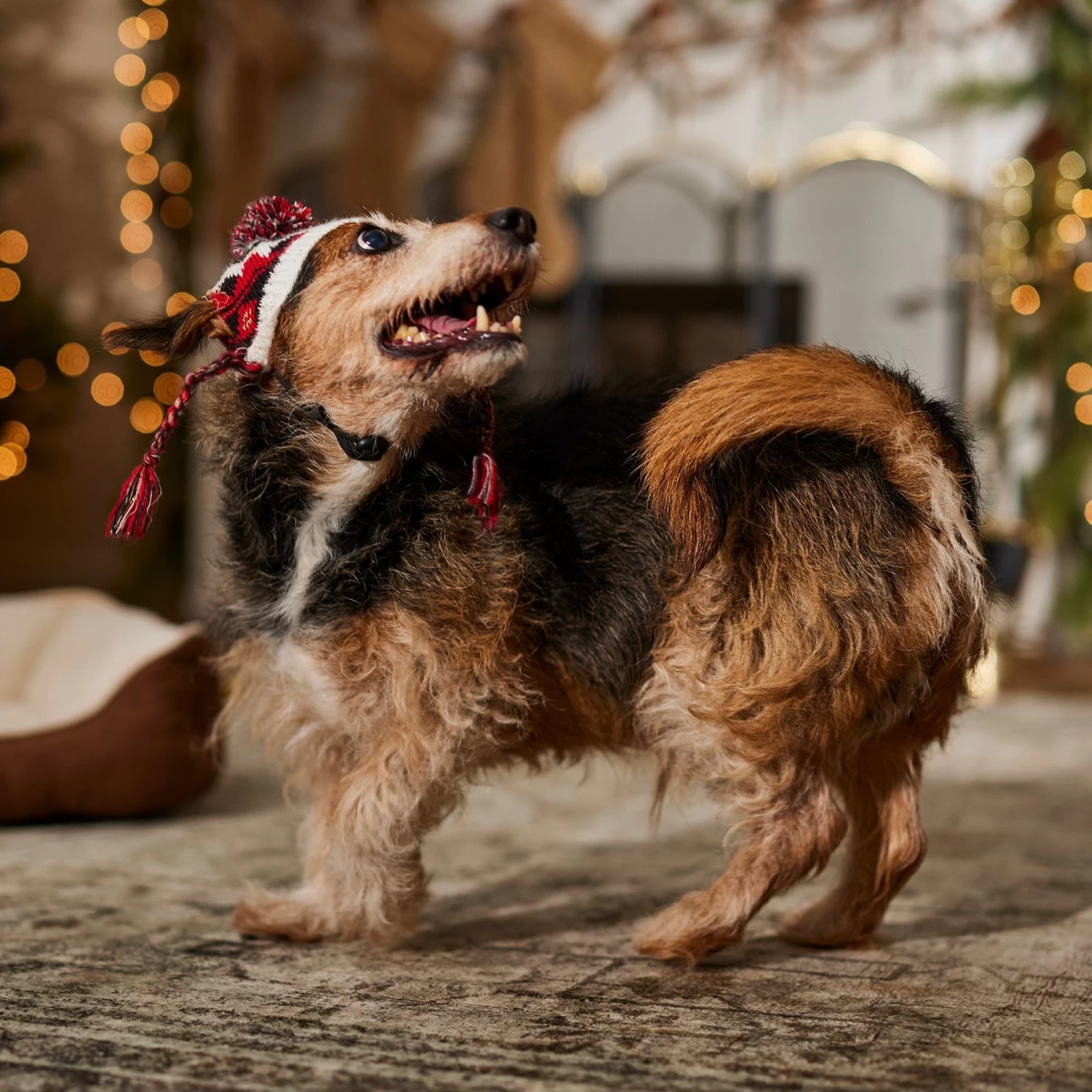Frisco Nordic Pawprint Dog & Cat Hat 8 Frisco Nordic Pawprint Dog & Cat Hat - Image 6