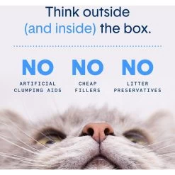 Boxiecat Air Lightweight Extra Strength Unscented Clumping Cat Litter 12 Boxiecat Air Lightweight Extra Strength Unscented Clumping Cat Litter -Cat Products Store 751886 PT4. AC SS1800 V1673466934