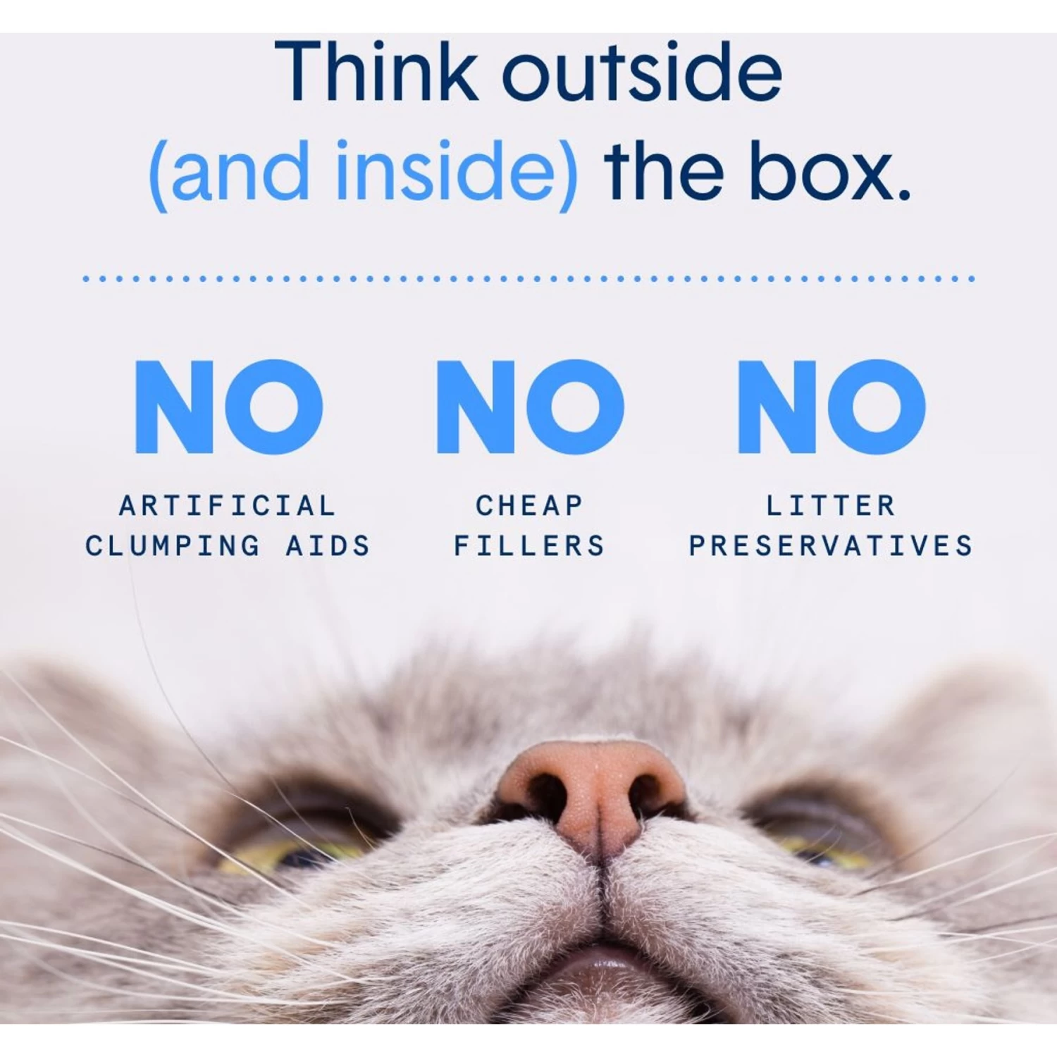 Boxiecat Air Lightweight Extra Strength Unscented Clumping Cat Litter 7 Boxiecat Air Lightweight Extra Strength Unscented Clumping Cat Litter - Image 5