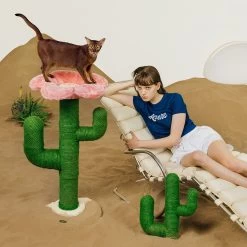 VETRESKA Blooming Cactus 41-in Cat Tree -Cat Products Store 805102 PT5. AC SS1800 V1680528999