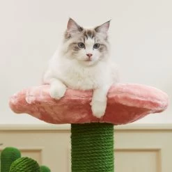 VETRESKA Blooming Cactus 41-in Cat Tree -Cat Products Store 805102 PT8. AC SS1800 V1680527837