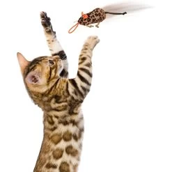 SmartyKat Instincts Safari Sneakers HappyNip Silvervine & Catnip Plush Cat Toys & Launcher Cat Toy, 3-pack & 1 Count -Cat Products Store 847206 PT5. AC SS1800 V1683728375