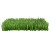 SmartyKat Instincts Meadow Mayhem Paper Grass Hide & Seek Cat Toy, 2-pack 2 SmartyKat Instincts Meadow Mayhem Paper Grass Hide & Seek Cat Toy, 2-pack -Cat Products Store 847238 MAIN. AC SS1800 V1683728311