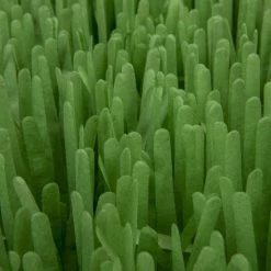 SmartyKat Instincts Meadow Mayhem Paper Grass Hide & Seek Cat Toy, 2-pack -Cat Products Store 847238 PT6. AC SS1800 V1683728572