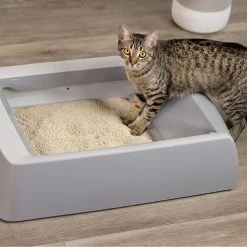 O.R.I./GRAYSTONE NATURAL Granular Tofu Uncented Cat Litter For Automatic Self-cleaning Litter Box Robots, 18-lb Bag, Case Of 4 10 O.R.I./GRAYSTONE NATURAL Granular Tofu Uncented Cat Litter For Automatic Self-cleaning Litter Box Robots, 18-lb Bag, Case Of 4 -Cat Products Store 867382 PT3. AC SS1800 V1687887272