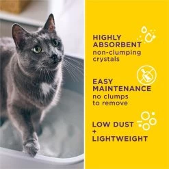 Tidy Cats Alert Health Monitoring Unscented Non-Clumping Cat Litter, 8-lb Bag -Cat Products Store 871510 PT3. AC SS1800 V1700256917
