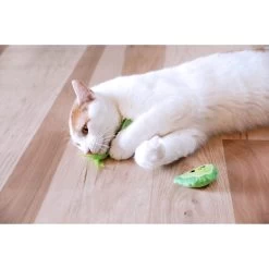 Quirky Kitty Meowgarita Time Catnip Plush Cat Toy, 2 Count -Cat Products Store 900374 PT2. AC SS1800 V1689017287
