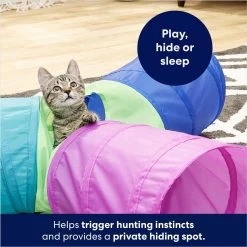 Frisco Foldable Play Tri-Tunnel Cat Toy & Frisco Butterfly Cat Tracks Cat Toy -Cat Products Store 933438 PT4. AC SS1800 V1692305507