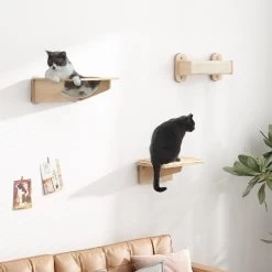 Coziwow 3 Pieces Wall Mounted Cat Perch Set -Cat Products Store 941694 PT1. AC SS1800 V1693579482