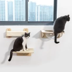 Coziwow 3 Pieces Wall Mounted Cat Perch Set -Cat Products Store 941694 PT6. AC SS1800 V1700859192