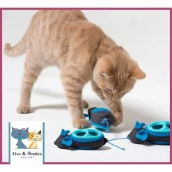 Nina Ottosson By Outward Hound Buggin' Out Puzzle & Play Cat Toy & Doc & Phoebe's Cat Co. Indoor Hunting Cat Feeder Kit 19 Nina Ottosson By Outward Hound Buggin' Out Puzzle & Play Cat Toy & Doc & Phoebe's Cat Co. Indoor Hunting Cat Feeder Kit -Cat Products Store 947542 PT8. AC SS1800 V1693600221