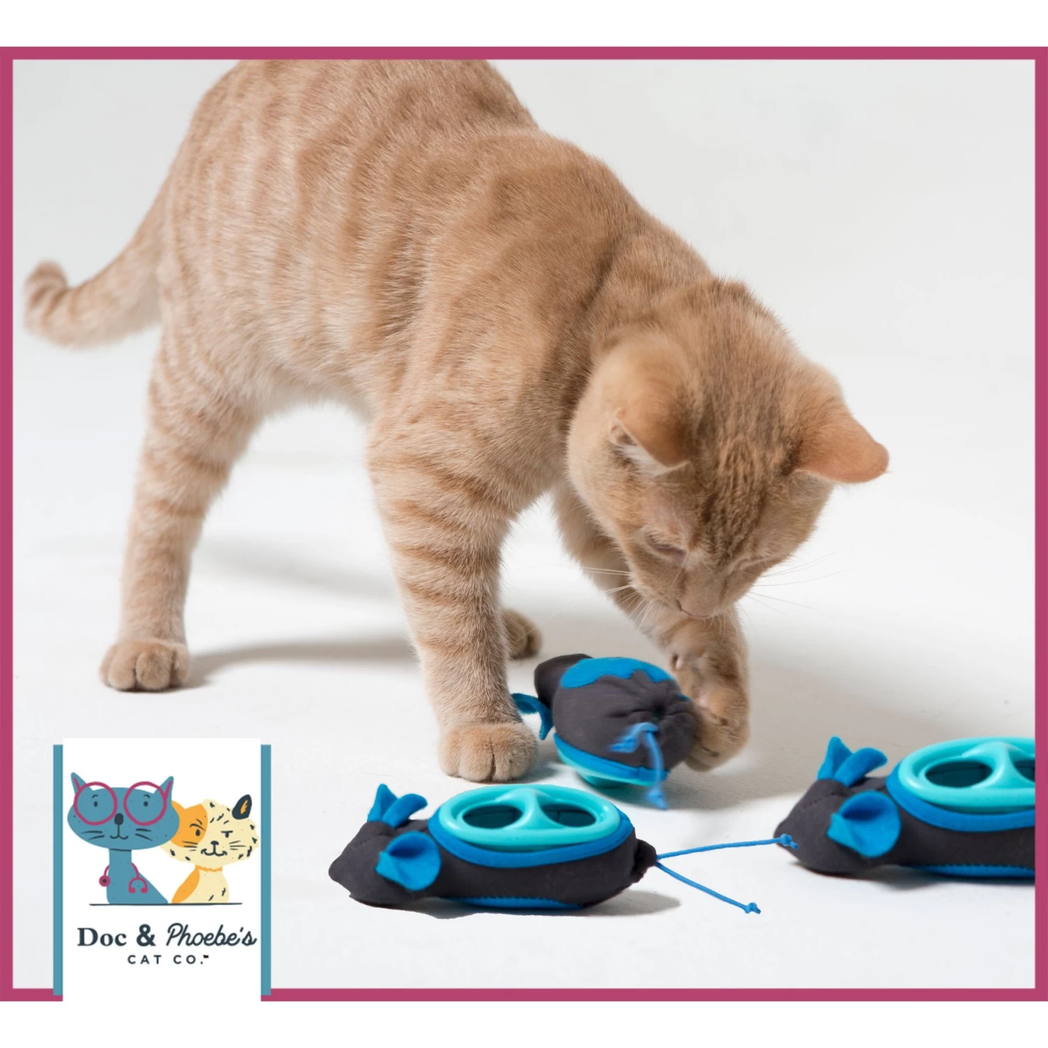 Nina Ottosson By Outward Hound Buggin' Out Puzzle & Play Cat Toy & Doc & Phoebe's Cat Co. Indoor Hunting Cat Feeder Kit 11 Nina Ottosson By Outward Hound Buggin' Out Puzzle & Play Cat Toy & Doc & Phoebe's Cat Co. Indoor Hunting Cat Feeder Kit - Image 9