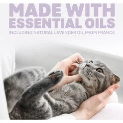 Naturally Fresh Harmony Lavender & Bamboo Scented Clumping Cat Litter -Cat Products Store 961182 PT5. AC SS1800 V1697726330