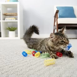 Frisco Colorful Springs Cat Toy & Frisco Bird With Feathers Teaser Wand Cat Toy With Catnip 15 Frisco Colorful Springs Cat Toy & Frisco Bird With Feathers Teaser Wand Cat Toy With Catnip -Cat Products Store 962126 PT4. AC SS1800 V1694782923