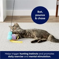 Frisco Colorful Springs Cat Toy & Frisco Bird With Feathers Teaser Wand Cat Toy With Catnip 19 Frisco Colorful Springs Cat Toy & Frisco Bird With Feathers Teaser Wand Cat Toy With Catnip -Cat Products Store 962126 PT8. AC SS1800 V1694782921