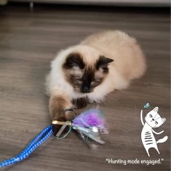 Catstages Tail Teaser Air Prey Play Wand Cat Toy, Blue -Cat Products Store 976214 PT7. AC SS1800 V1696615403