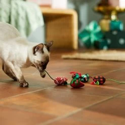 Frisco Holiday Moppy Ball Cat Toy With Catnip, 3 Count & Frisco Holiday Mice Cat Toy With Catnip, 5 Count 18 Frisco Holiday Moppy Ball Cat Toy With Catnip, 3 Count & Frisco Holiday Mice Cat Toy With Catnip, 5 Count -Cat Products Store 986150 PT7. AC SS1800 V1698258116