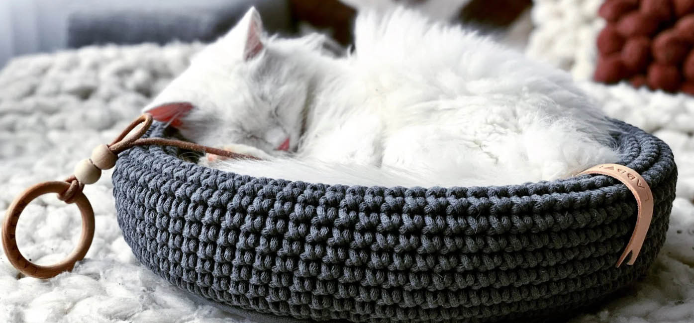 Cat Products Store -Cat Products Store FGFH